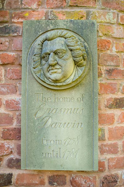 Carved stone plaque on the outside of the Lichfield home of Erasmus Darwin (erasmusdarwin.org)