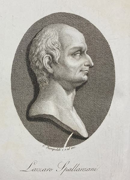 Portrait of Lazzaro Spallanzani, engraved frontispiece by C. Rampoldti, Opere di Lazzaro Spallanzani, vol. 1, 1825-26 (Linda Hall Library)