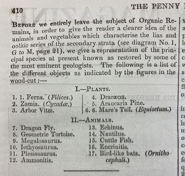 Identification key for cover woodcut, The Penny Magazine, vol. 2, no. 100, p. 409, Oct. 26, 1833 (The Linda Hall)