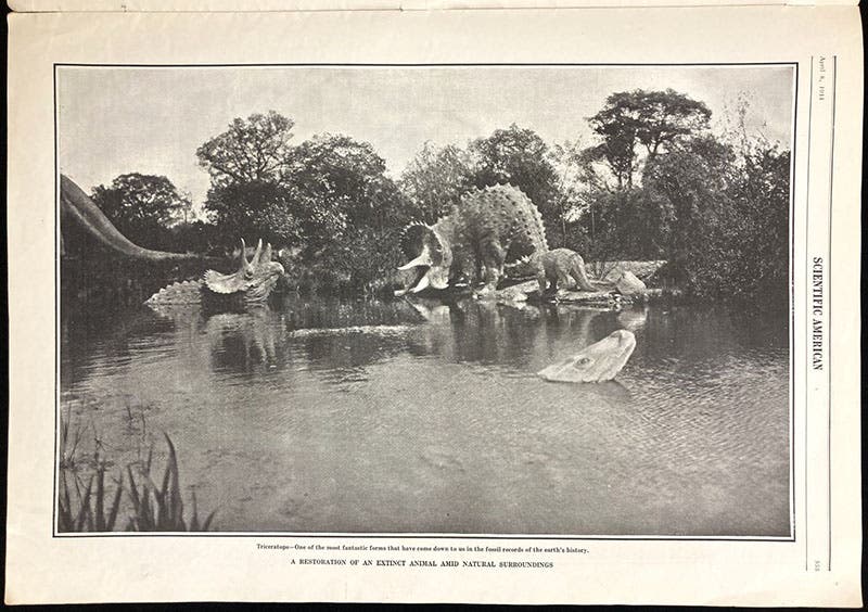Triceratops family, sculptures by Josef Pallenberg at Tierpark Hagenbeck, Hamburg, Scientific American, vol. 104(14), p. 353, Apr. 8, 1911 (The Linda Hall)