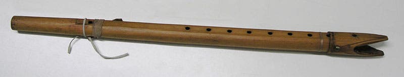 The first Beltrami flute, made of western red cedar by natives of the American Midwest and acquired by Giacomo Betrami in 1823, now in the Museo Civico di Scienze Naturali, Bergamo, Lombardy, photo by Geoff Noman (flutopedia.com)