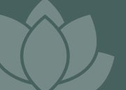 Sunlighten Lotus flower on blue green color