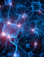 NeuronCells_Hero_Masthead.jpg