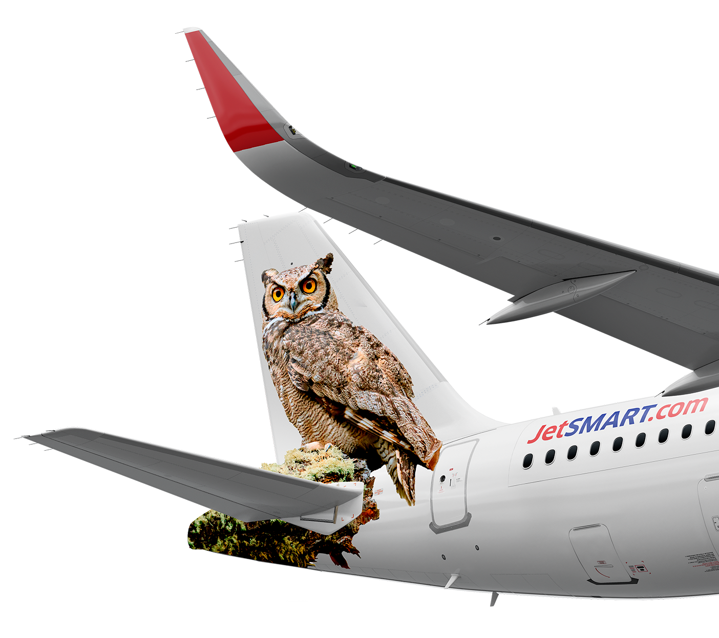 BUBO MAGELLANICUS