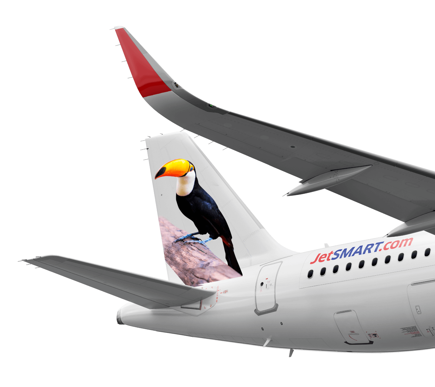 O Tucano-Toco