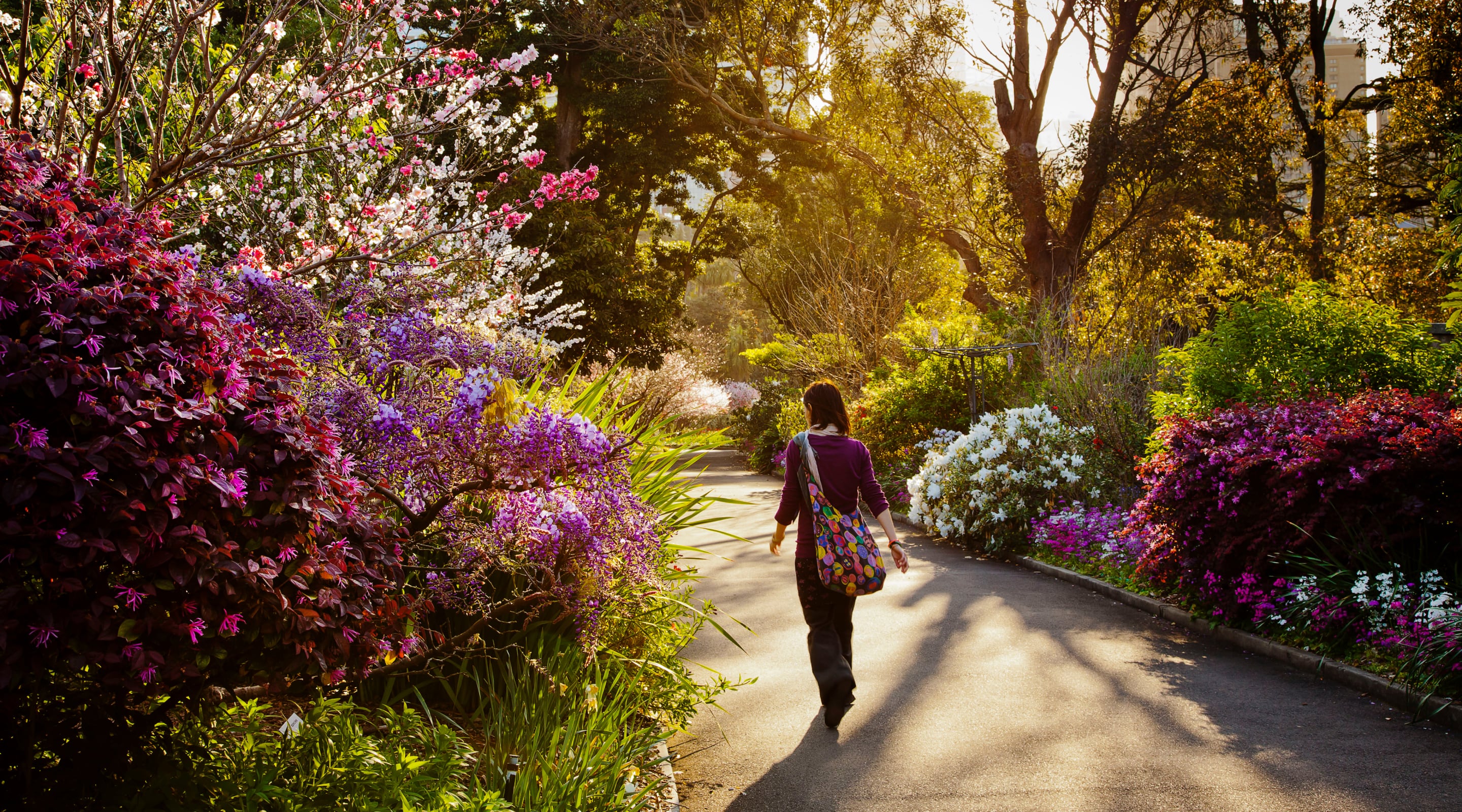 Royal Botanic Garden Website