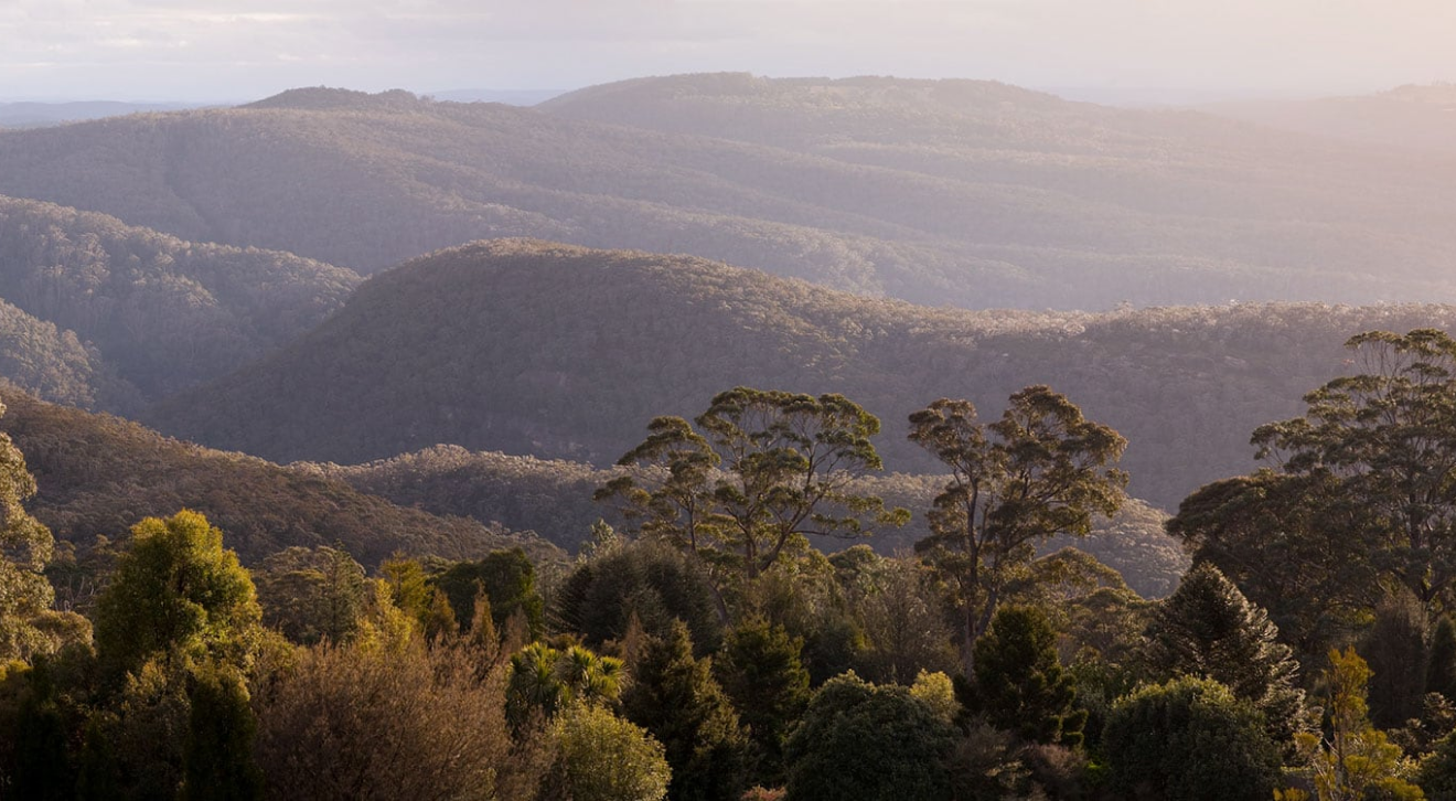 Blue Mountains vista