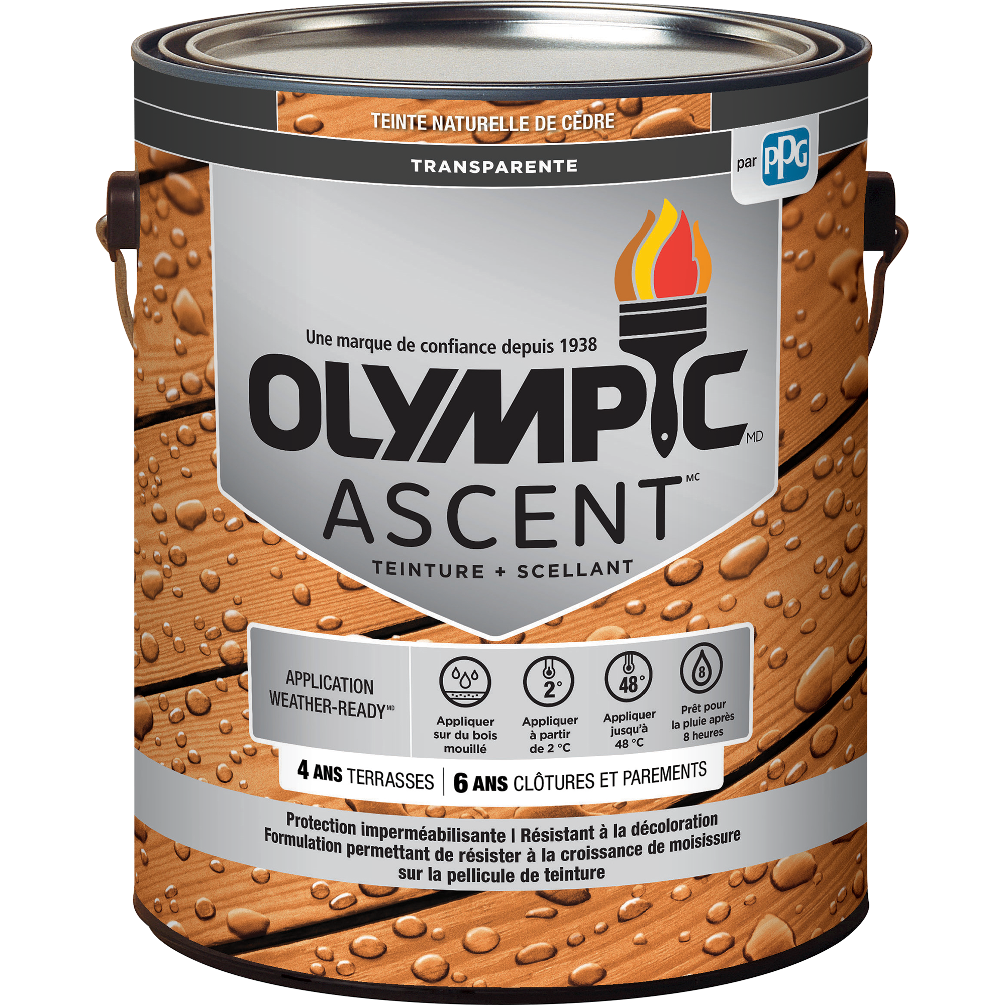 Olympic Ascent Transparent FR
