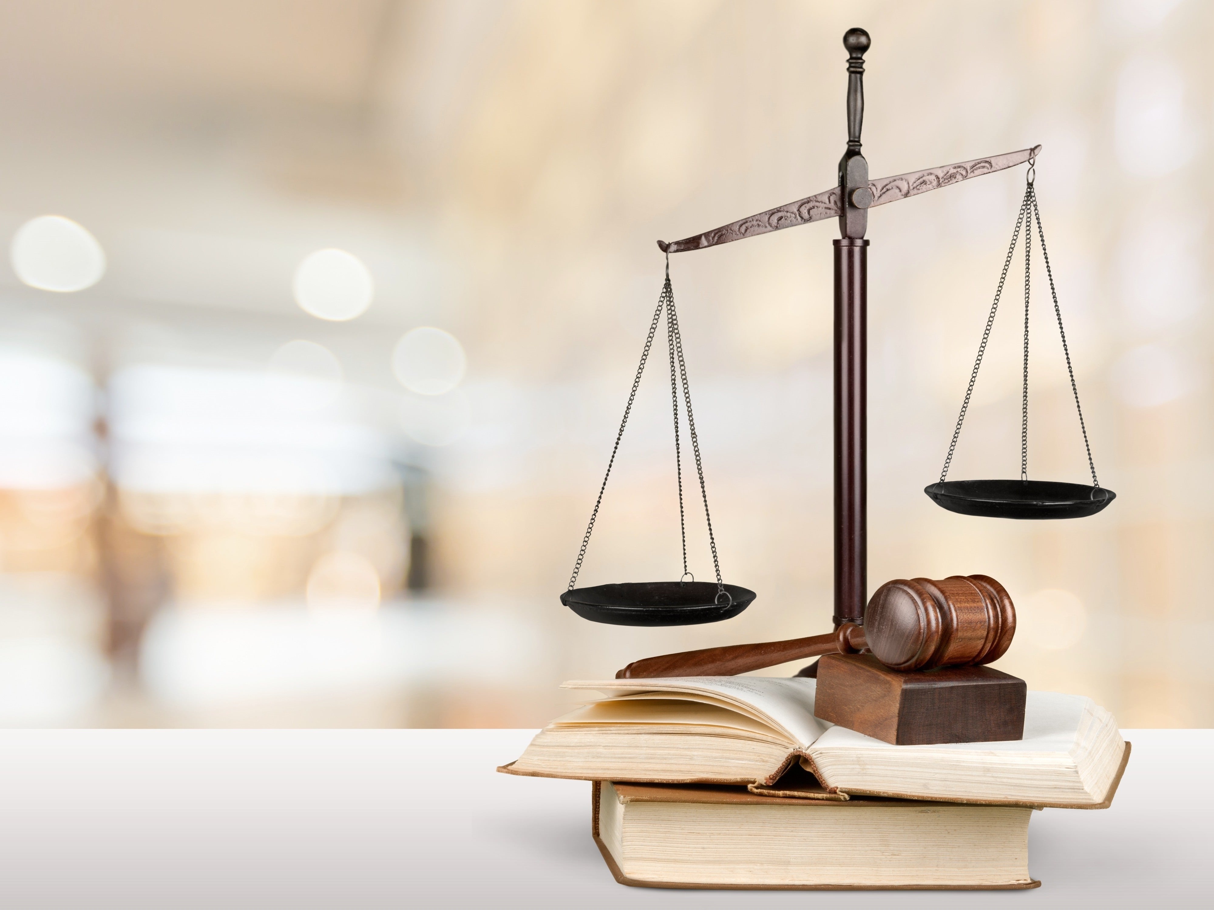 Model litigant obligations 