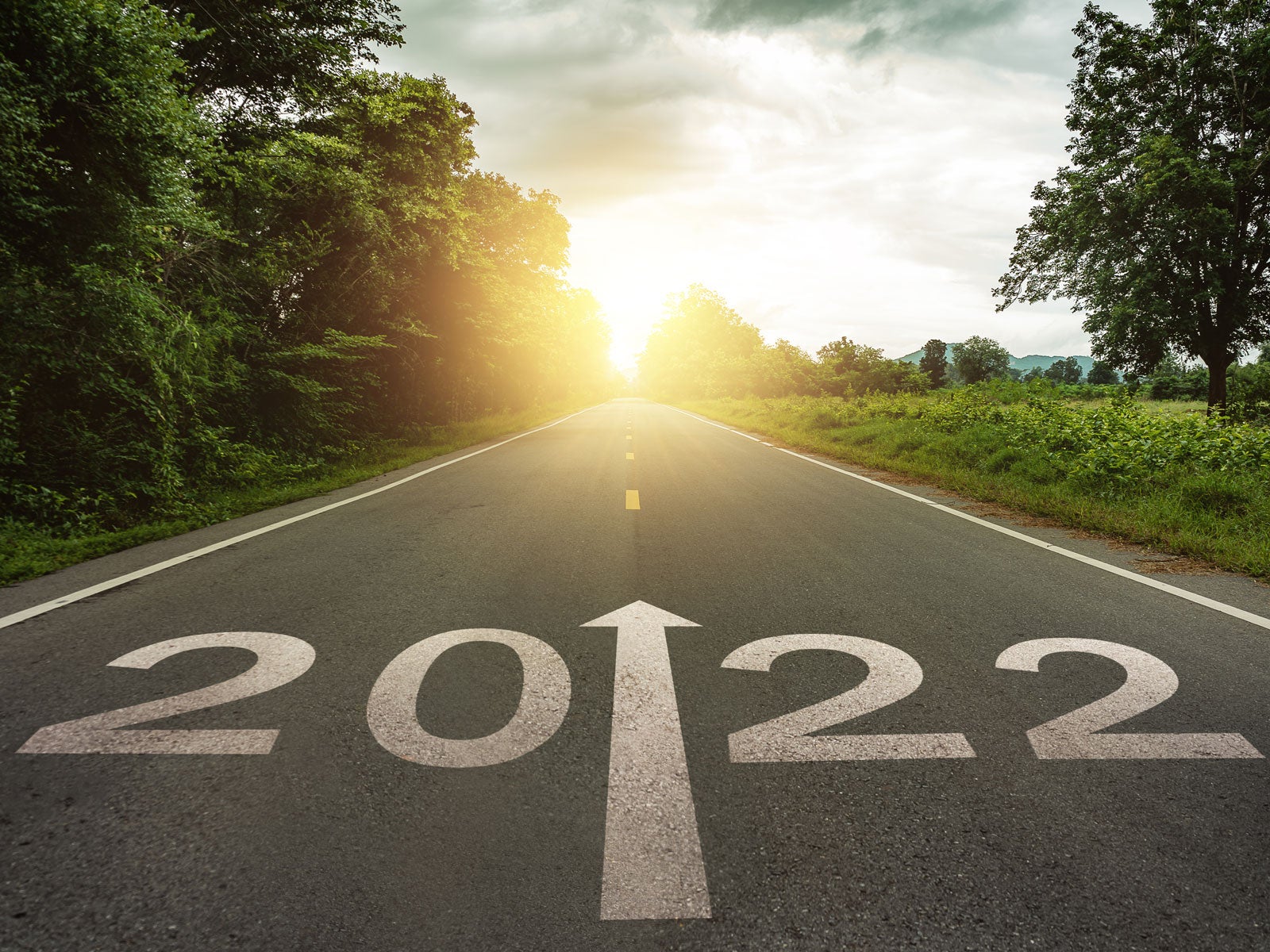 NSW Government Bulletin – summer edition